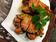 -呼吸森林·生态农庄农家乐私房菜