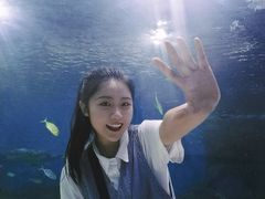 -苏州海洋馆