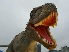 -平潭国际旅游岛·龙王头沙滩运动基地