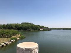 -大兴滨河森林公园