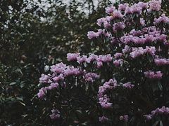 -龙苍沟森林公园