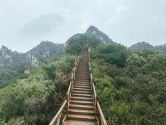 -大岭沟猕猴桃谷风景区