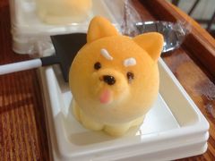 -柴犬高等学院·狗咖·柴犬售卖·宠物训练