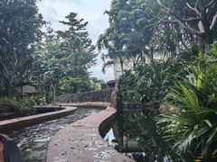 -河川生态园