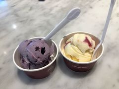 蓝莓单球-哈根达斯(钟楼新店)