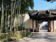 -上海醉白池公园