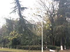 -四川大学(江安校区)