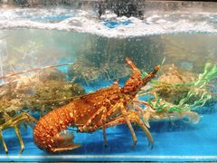 -盒马鲜生(王府广场店)