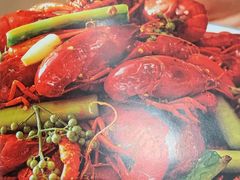-杨氏青龙虾·羊蝎子(托乐嘉店)