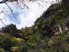 -青峰峡国家森林公园