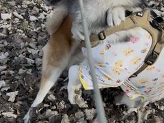 -中粮·祥云小镇