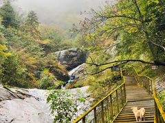 -青峰峡国家森林公园