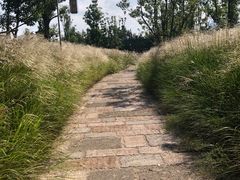 -三垟湿地