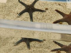 -上海海洋水族馆