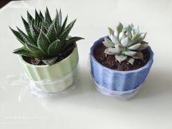 -千禧果月子会所(郑州东站店)