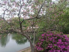 -无锡蠡湖国家湿地公园-蠡园