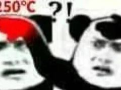 -金掌勺东北菜(格兰晴天店)