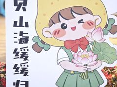 -白洋淀景区