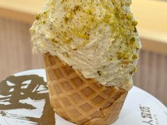 -野人先生现做冰淇淋(西安赛格店)