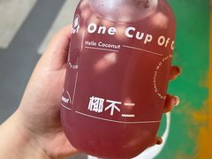 -椰不二(江北大洋百货店)