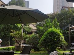 -大可堂普洱茶馆(襄阳南路馆)