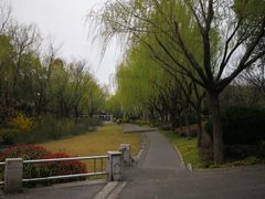 -颐景园