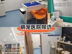-博特宠物医院24h犬猫全科.骨科·异宠