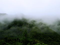 -五女峰国家森林公园