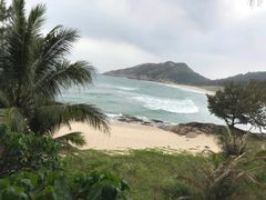 -广东惠东海龟国家级自然保护区