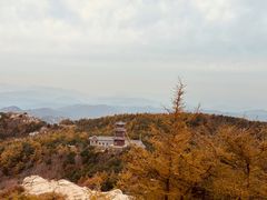 -泰山风景名胜区