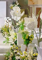 -明典婚礼策划·婚车租赁·婚纱摄影