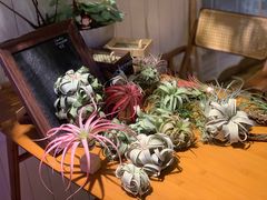 -Rabbit Cafe私房西餐甜点咖啡(栖霞路店)