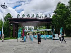 -黄海国家森林公园