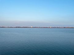 -大湾区中央湿地公园