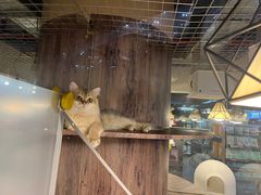 -宠物世家(仲盛世界商城店)