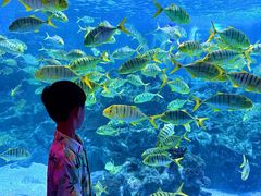 -海合安成都极地海洋公园