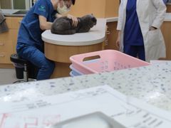 -联合动物医院(光谷诊疗中心)