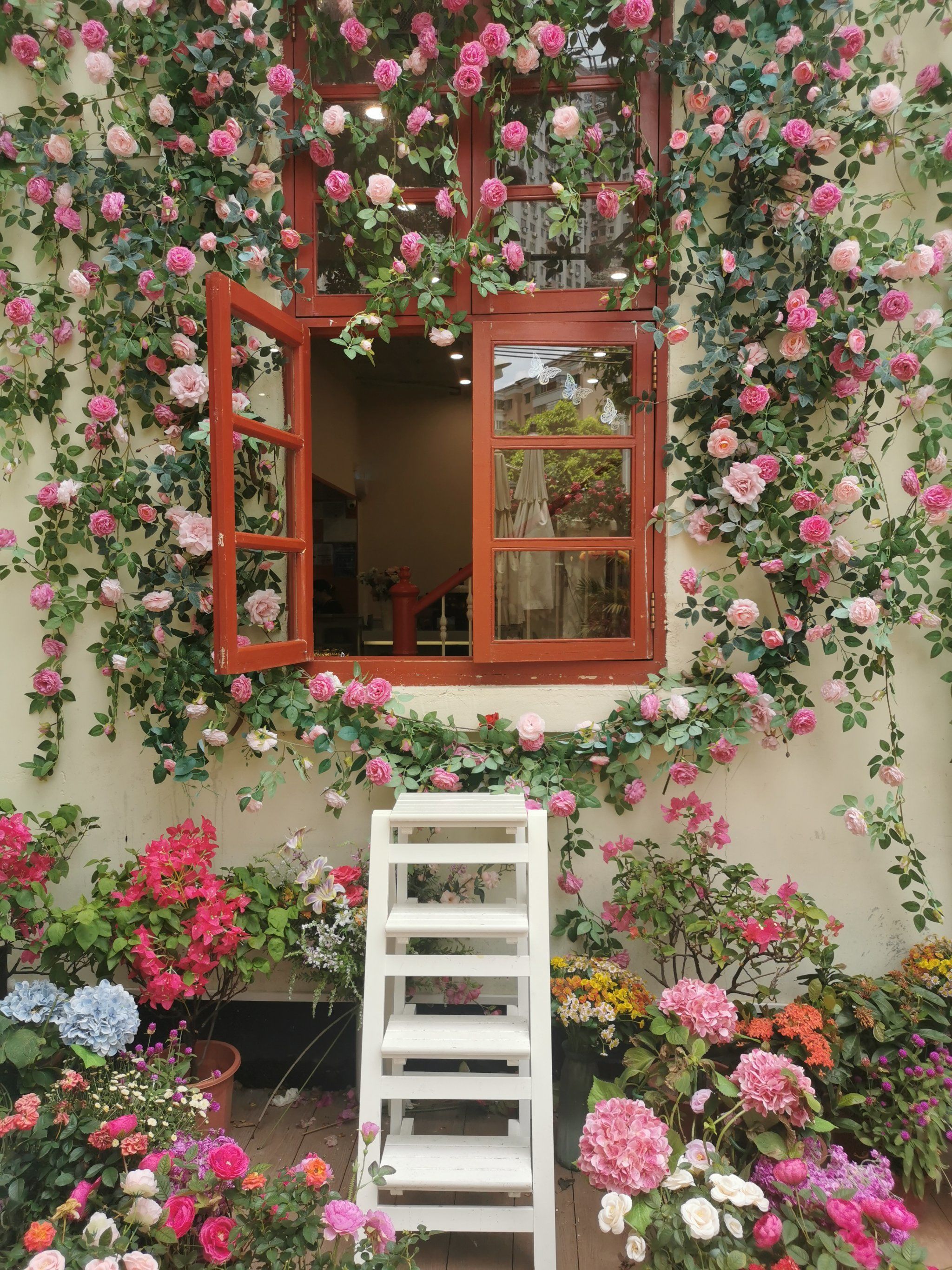 玫瑰花墙