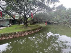 -大雁山风景区