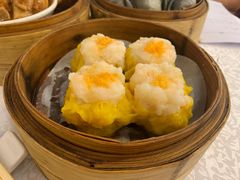 -沙田新强记烧鹅海鲜酒家