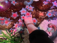 -沈阳海洋探索中心