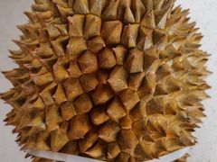 -小象超市(原美团买菜三泉路店)