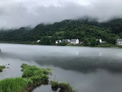 -黄牛肉馆·皖南土菜