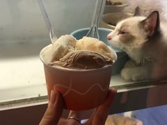 -DIP in GELATO(富民路店)