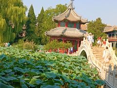 -莲池书院博物馆