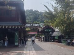 -野象谷景区