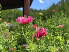 -北京宽沟会议中心