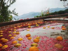 -天目湖涵田半山温泉
