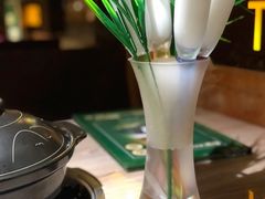 -探窝·竹笙椰子鸡(杨箕店)