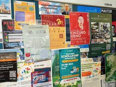 -香港大学
